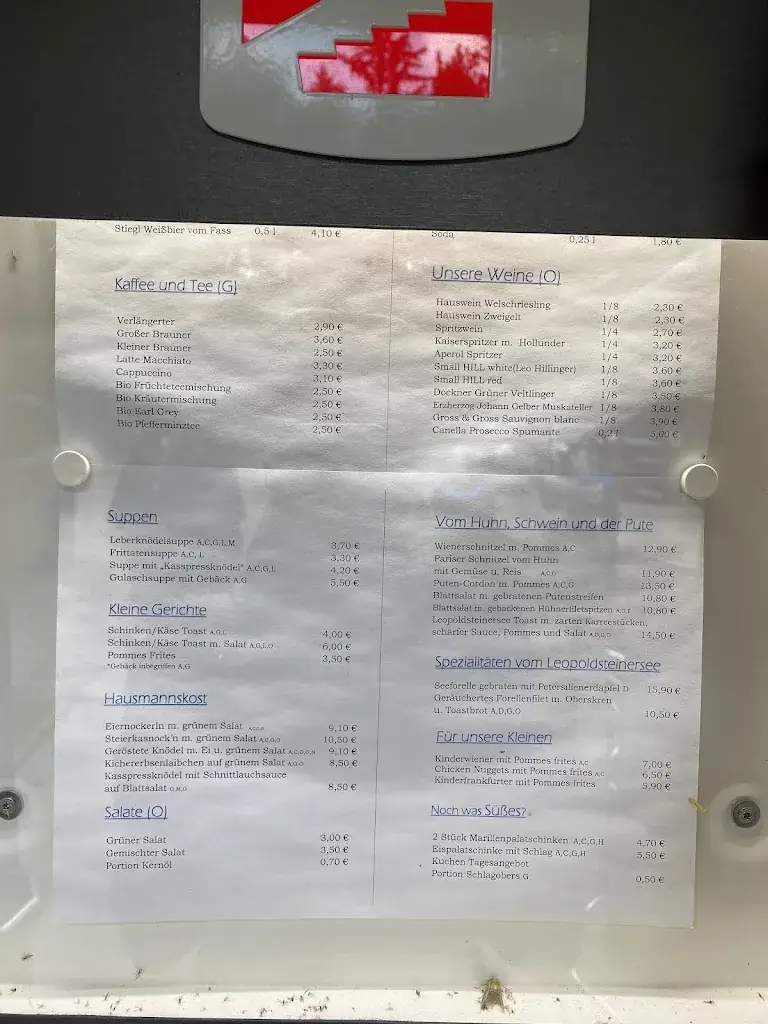 Menu_Restaurant Leopoldsteinersee_Eisenerz_immagine_4