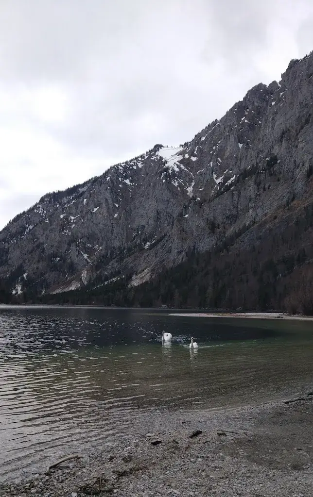 BIN LI_Restaurant Leopoldsteinersee_Eisenerz_recensione