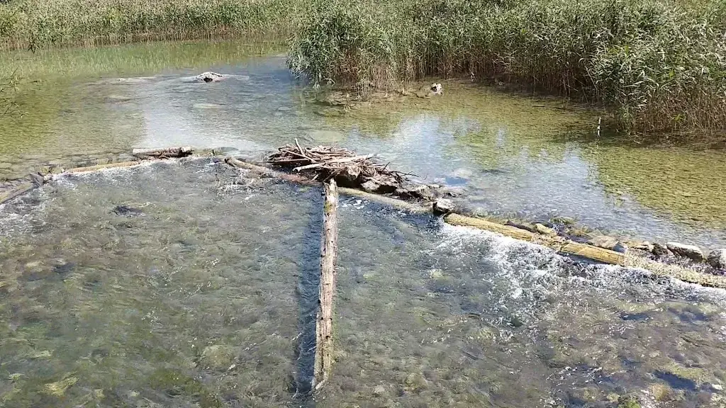 Restaurant Leopoldsteinersee_Eisenerz_slider_image_2