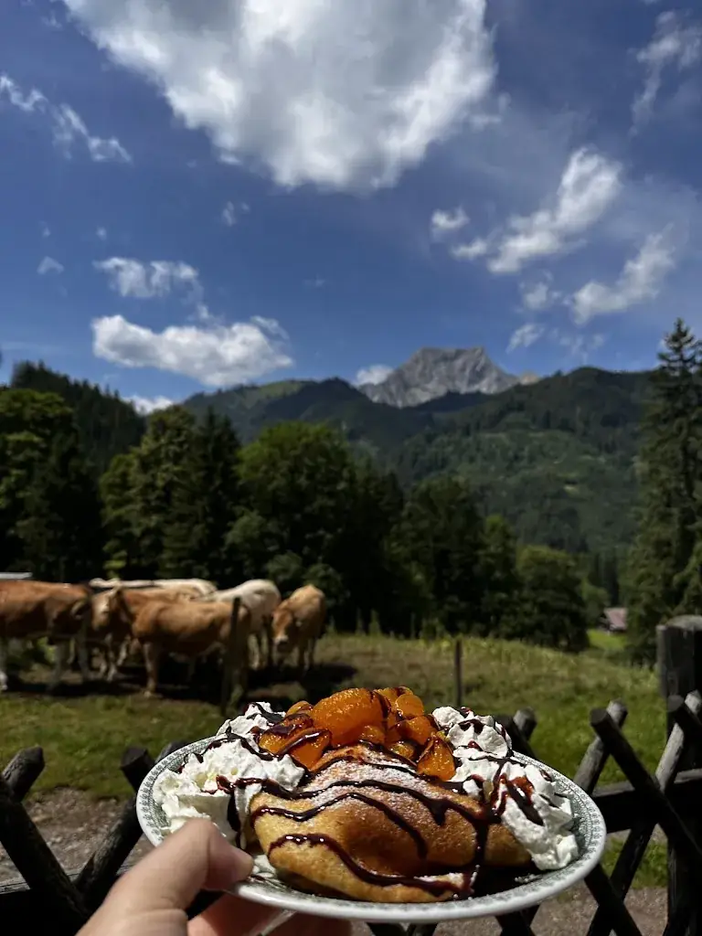 Schnitzelwirt-Elsner-Alm_Eisenerz_slider_image_2