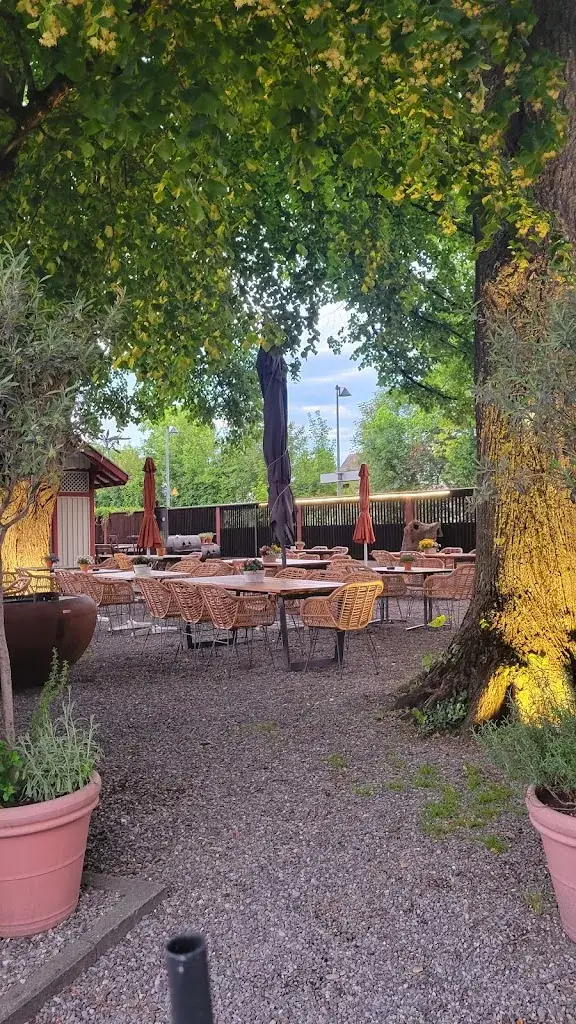 marit-karen glaser_Bahnhof Fischbach_Fischbach_recensione