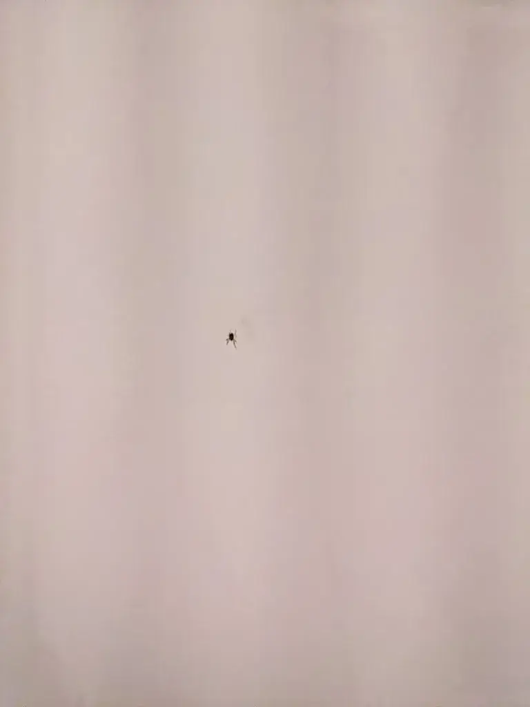 Brokk_Hotel Traube am See GmbH_Fischbach_review