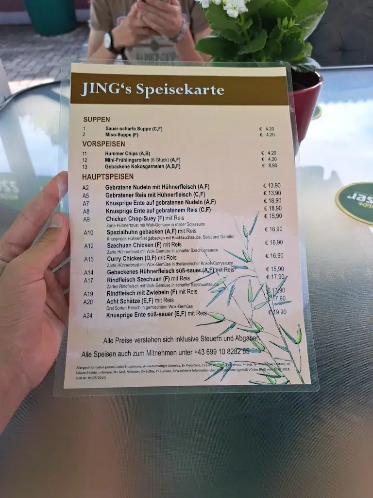 Menu_Jing's Restaurant_Podersdorf am See_image_1