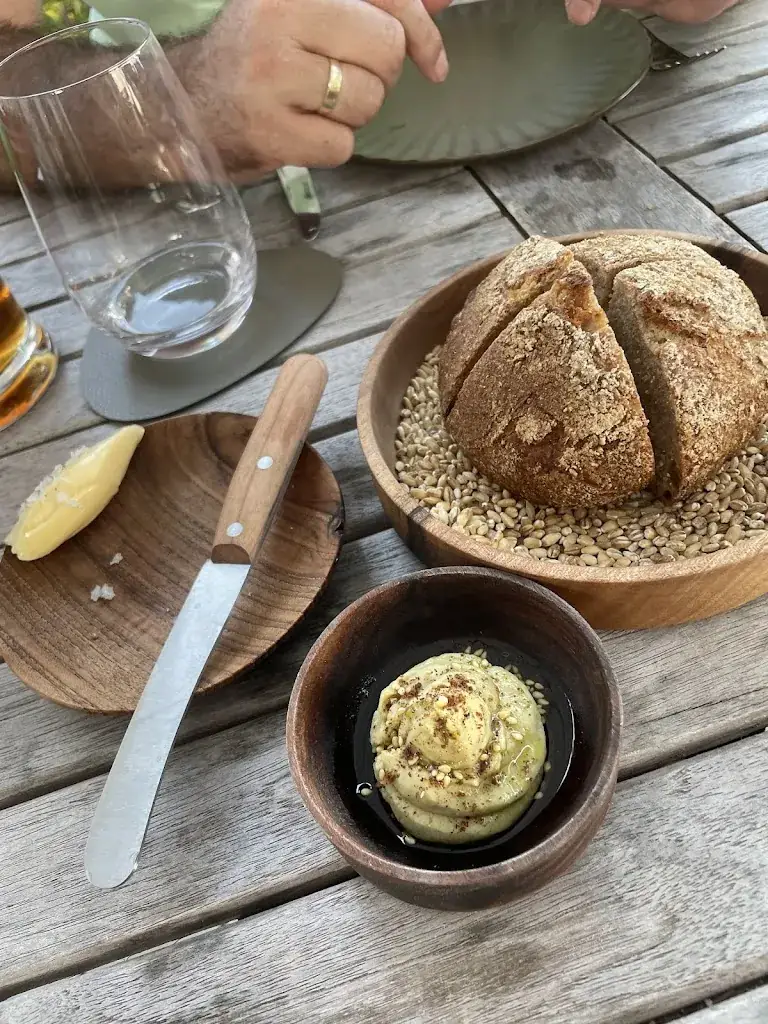 Manja Neumann_Pinus_Fischbach_recensione