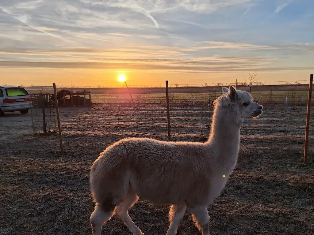 Bauer KG SB Hofladen Podersdorf_Podersdorf am See_slider_image_3