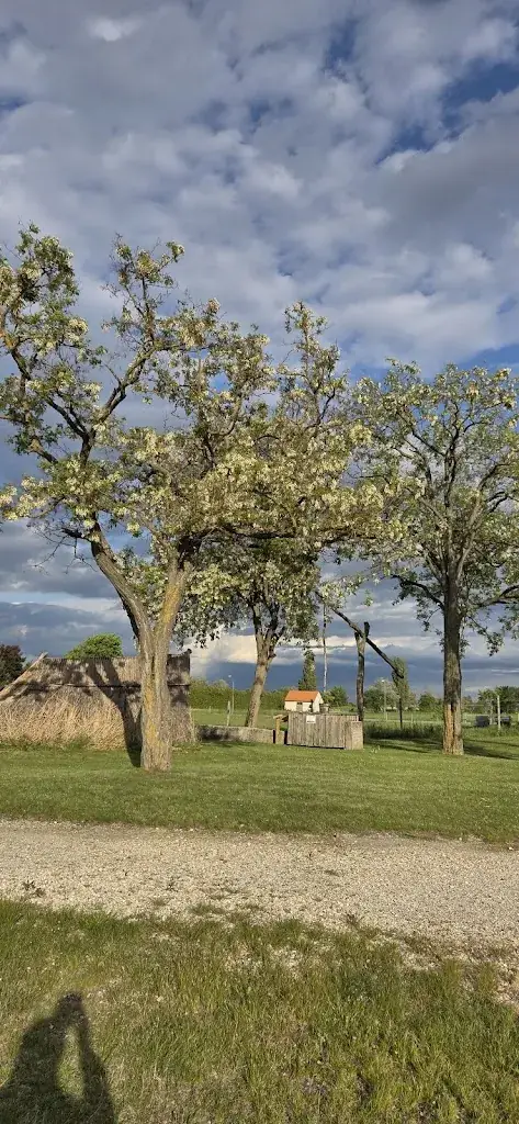 Hotel Restaurant Seehof Podersdorf am See_Podersdorf am See_slider_image_3