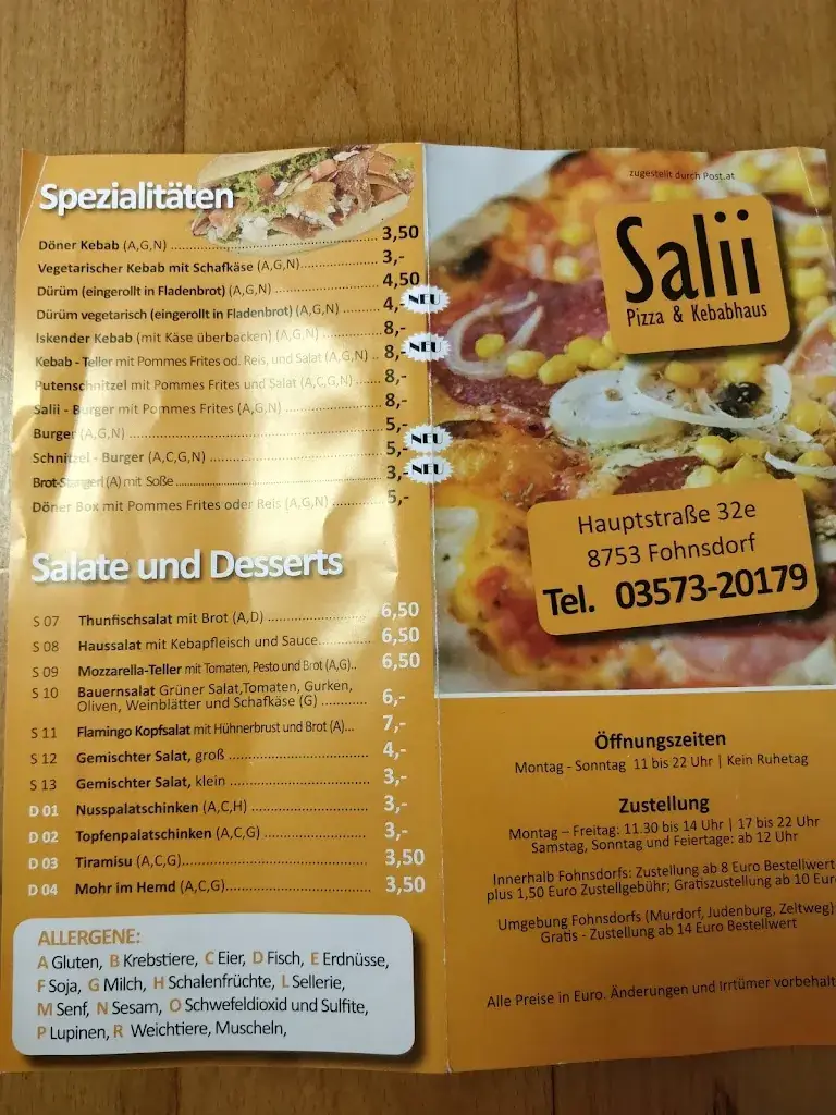 Menu_Pizzeria & Kebabhaus Salii Fohnsdorf_Fohnsdorf_image_2