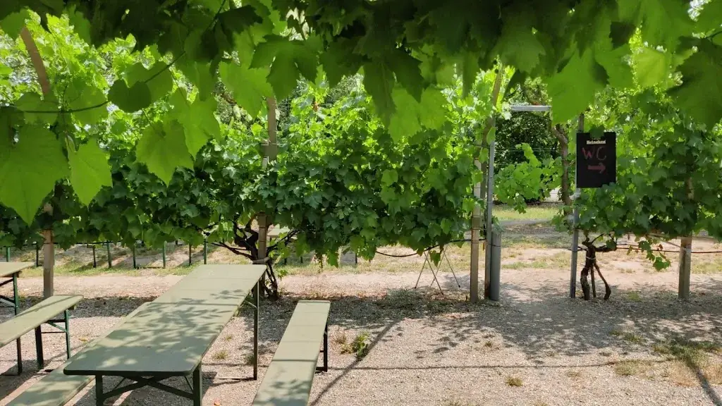 Piotr Staniszewski_Tschisti's Saftladen_Podersdorf am See_review