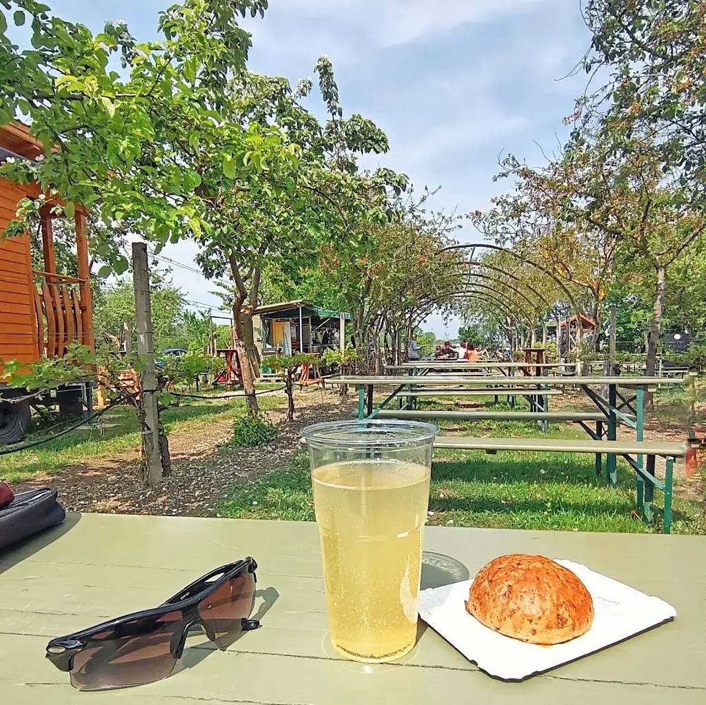 Andrea_Tschisti's Saftladen_Podersdorf am See_review