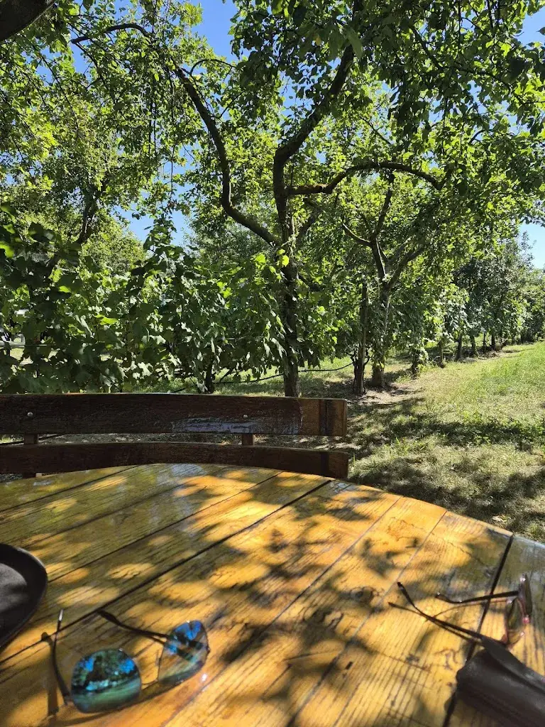 Bjoern Schmuch_Tschisti's Saftladen_Podersdorf am See_review