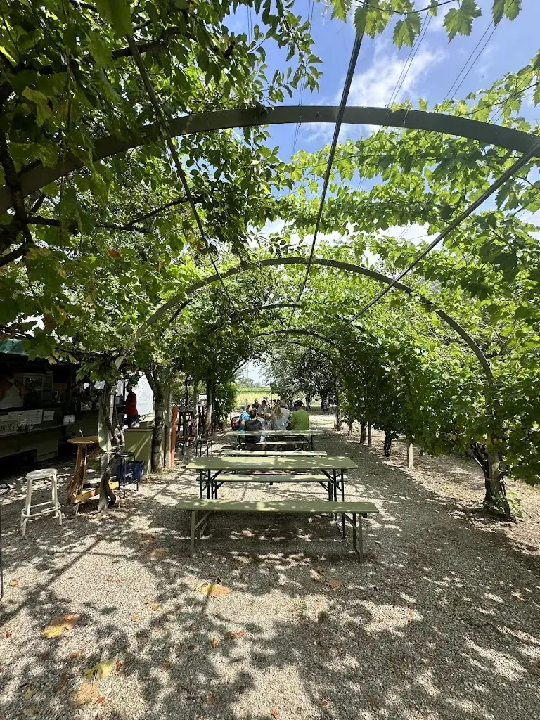 Tschisti's Saftladen restaurant in Podersdorf am See