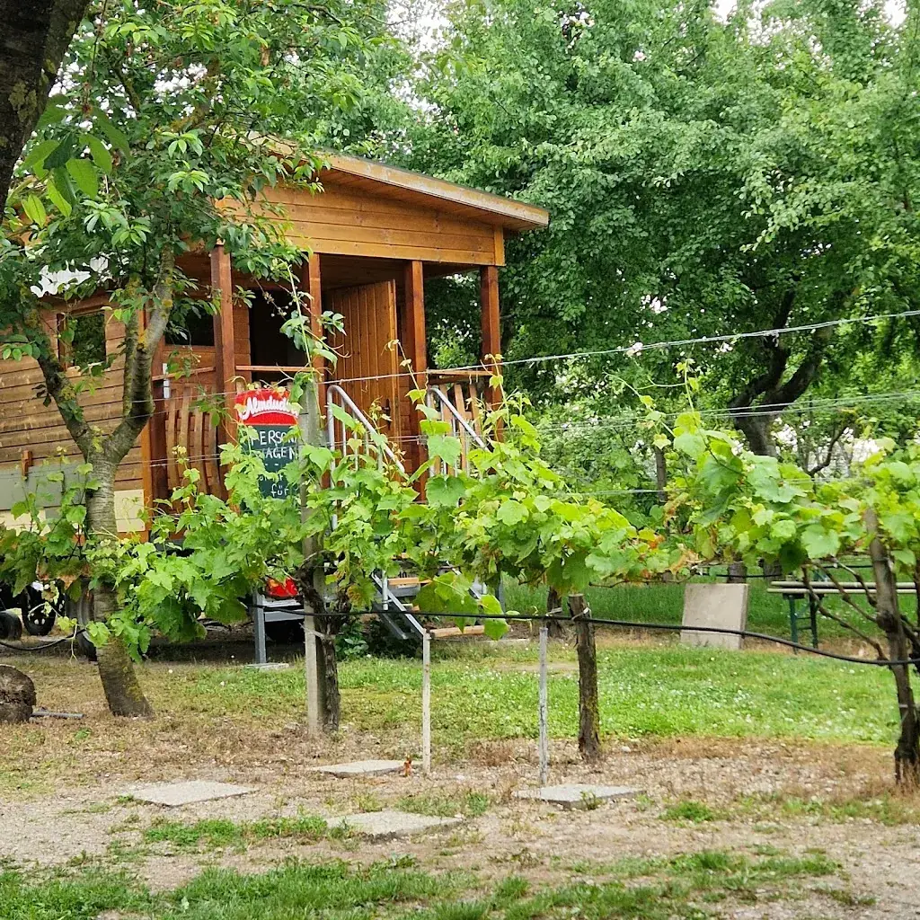 Tschisti's Saftladen_Podersdorf am See_slider_image_2