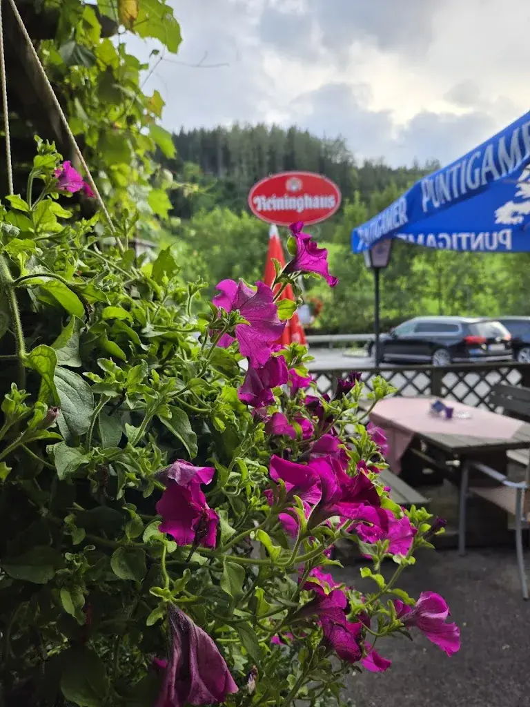 Sondra Swift_Gasthaus Hoaterwirt, Familie Neuhold_Frohnleiten_review