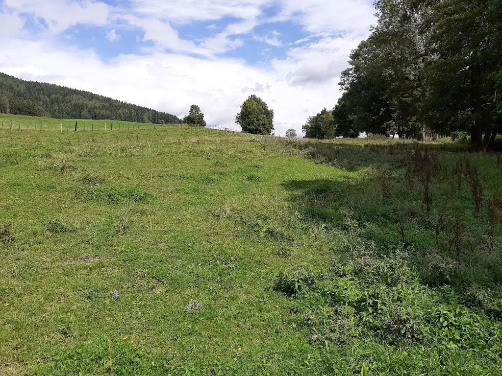Zuzanna Bania_Häuserl im Wald Semriach - Gasthaus_Frohnleiten_avis