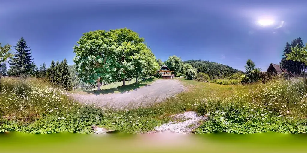 Almgasthof Schutzhütte Wieseralm_Frohnleiten_slider_image_3