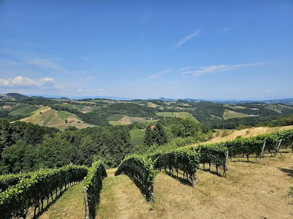 Lukas Jelinek_Jaglhof_Gamlitz_review