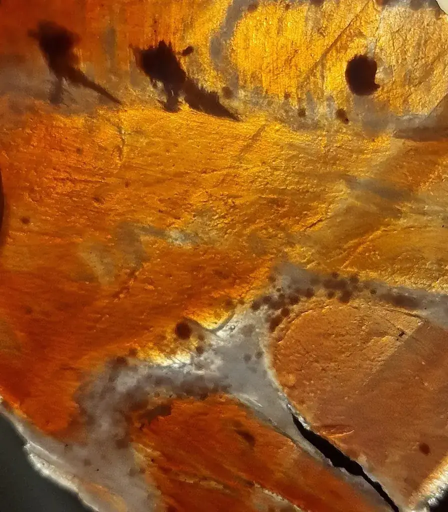 Teimuraz Gogitidze (DocTemur)_Restaurante Gaztemanu_Gasen_recensione