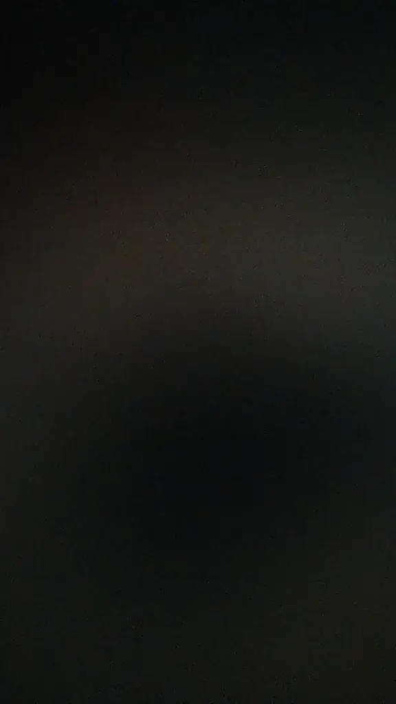 Patrick der Wels Spezialist_Das Landhaus_Gleinstätten_recensione