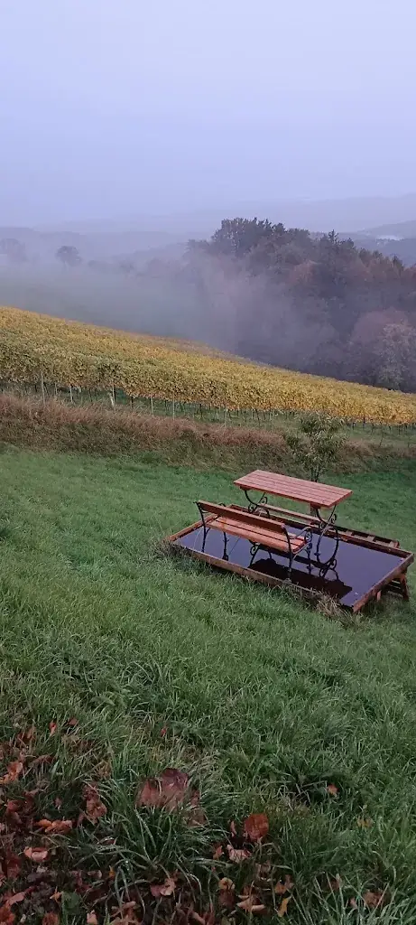 Claudia Pleßberger_Buschenschank Maurerannerl_Gleinstätten_review