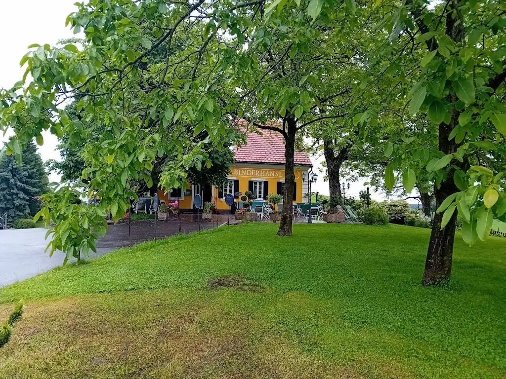 stefan pittracher_Gasthaus Binderhansl_Gnas_avis