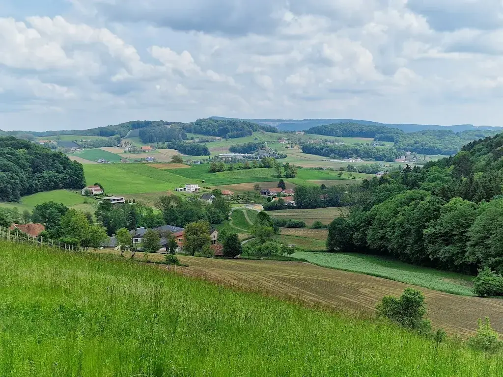 Gerald Piuk_Dahoam_Gnas_avis