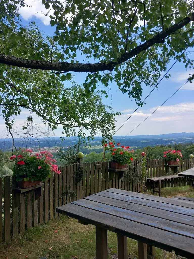 claudia k._Buschenschank Weingartschlögl_Greisdorf_review