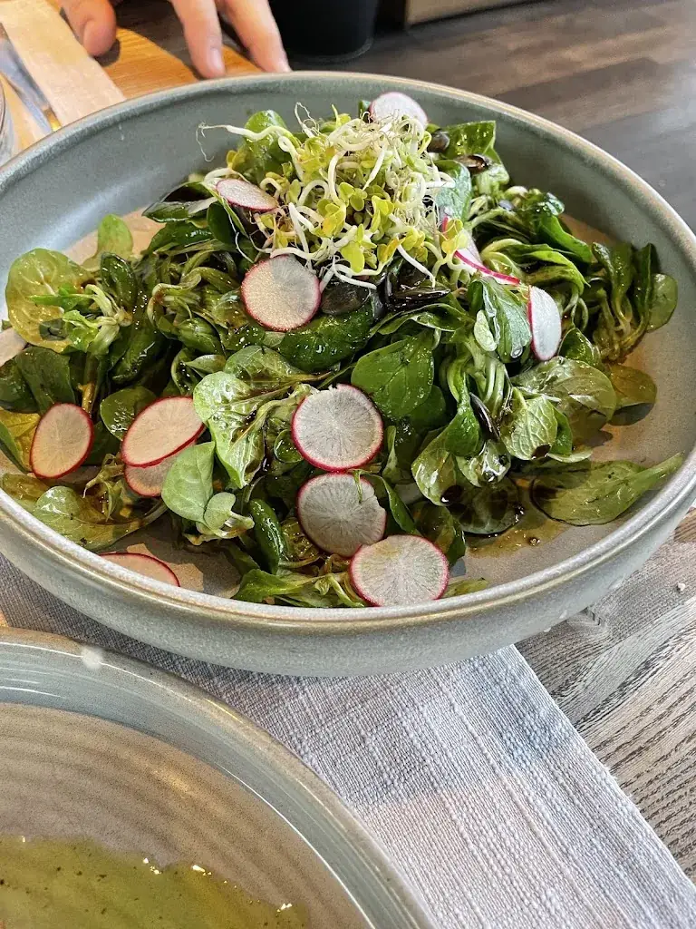 Iztok Žgalin_aiola upstairs_Graz_review