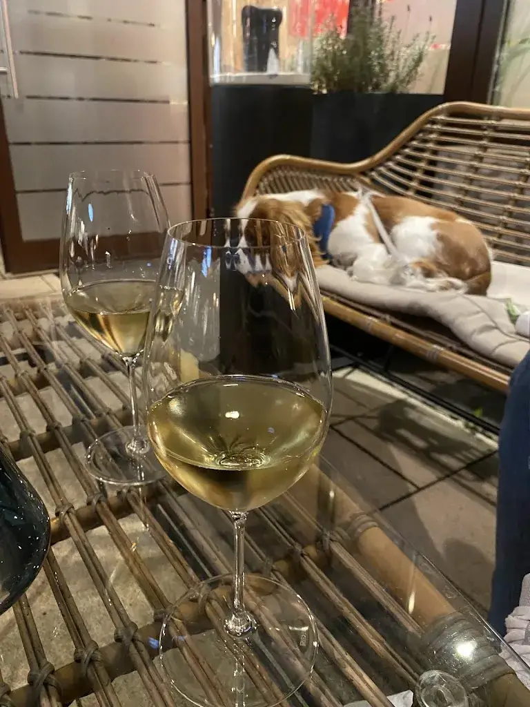 Ormonde - Industrial Cleaning Servcies_Restaurant ARTIS_Graz Stadt_avis