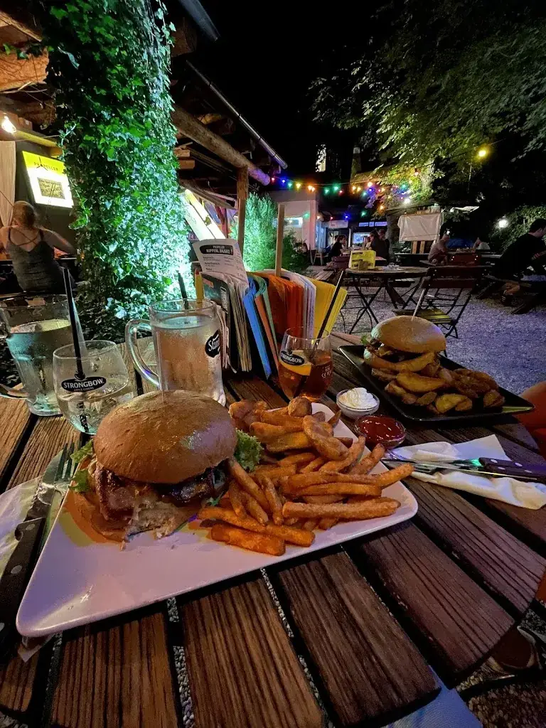 Ivan Hontić_Propeller_Geidorf_review