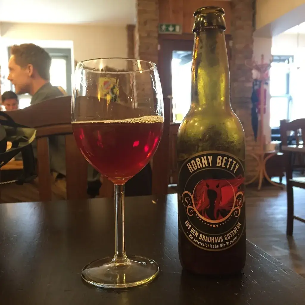 Ernst-Georg Lorinser_Propeller_Geidorf_review