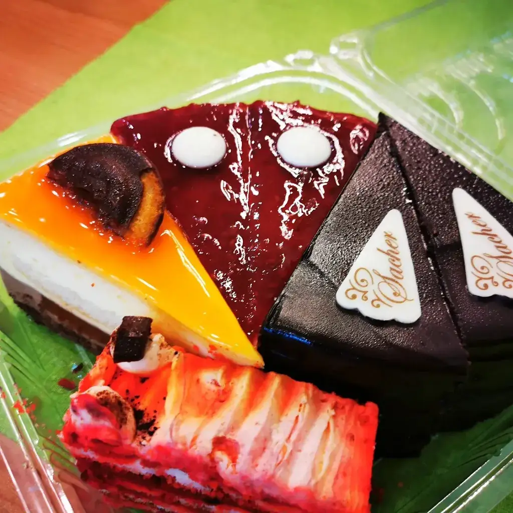 Raluca Jianu_Mikis_Geidorf_review