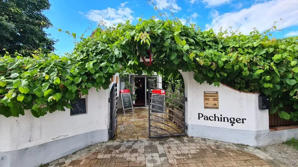 Stefan Konrad_F & H Pachinger vineyard_Sankt Georgen am Leithagebirge_recensione