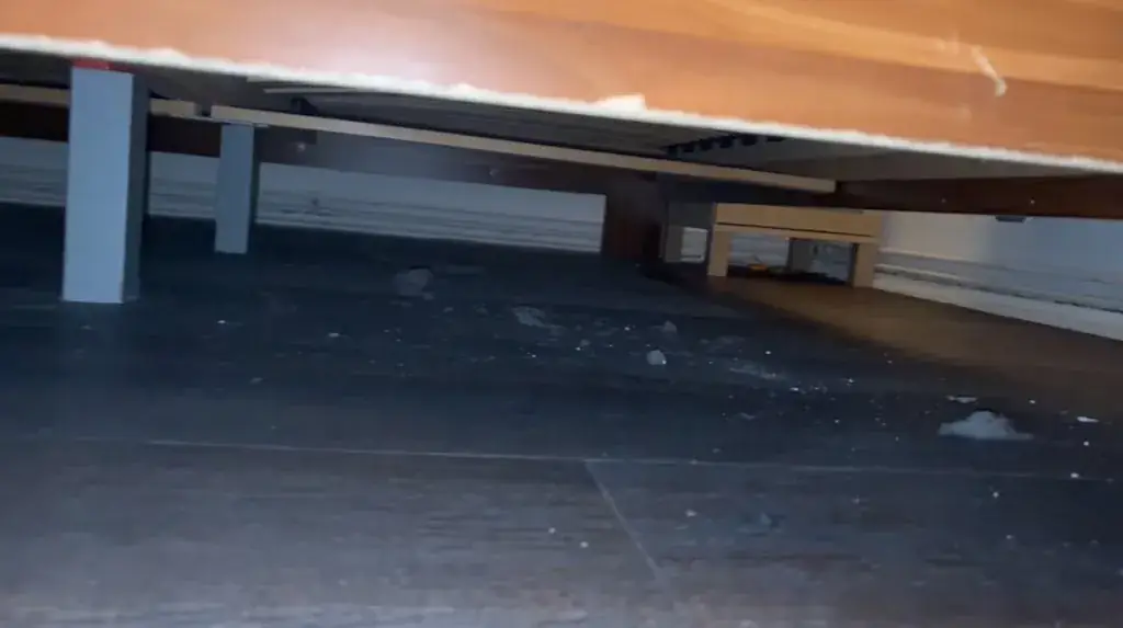 Leonie Bauer_Elli_Hartmannsdorf_review