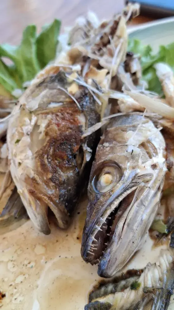 Walter Sach_Grillstelle Großschädl_Hausmannstätten_review