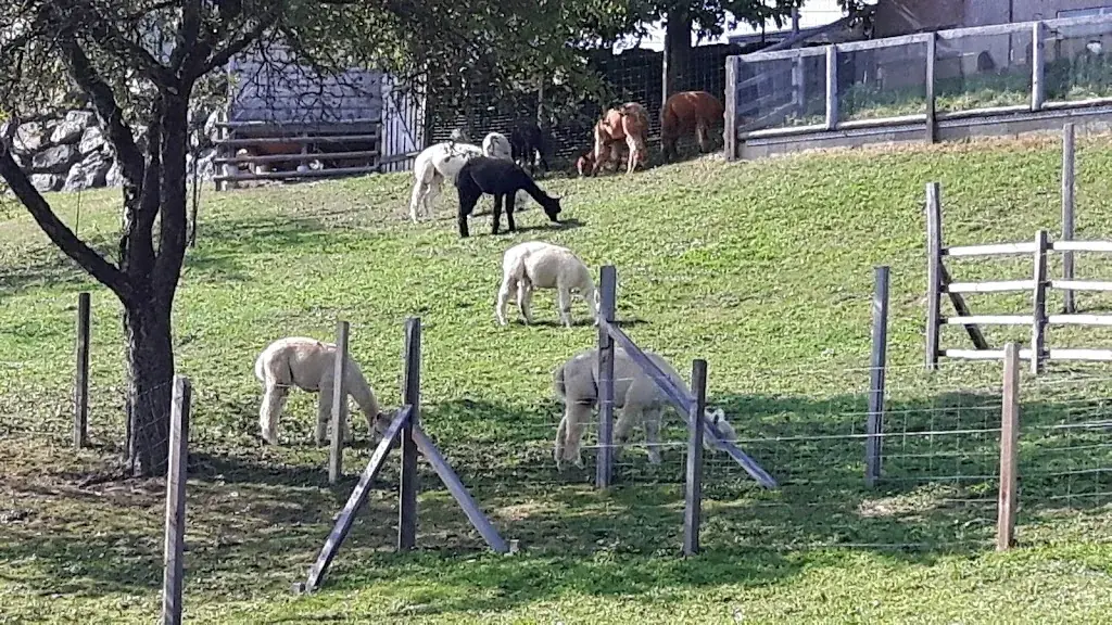 Gasthaus Pichlerwirt_Hengsberg_slider_image_3