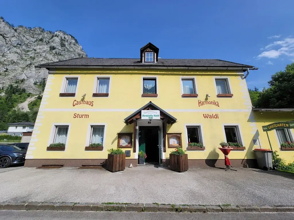 Heather Swanson Photography (& Art Director)_Gasthaus Zum Harmonika Waldi_Hieflau_avis