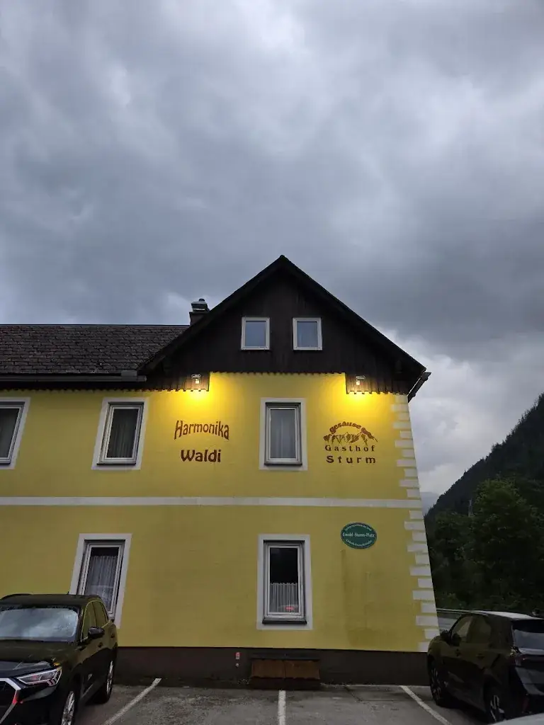 Andrea Carrillo Chu_Gasthaus Zum Harmonika Waldi_Hieflau_avis