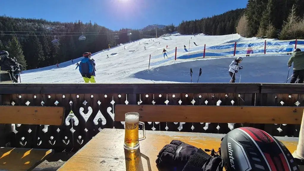 Josef vata_Schmiedhütte_Haus im Ennstal_avis