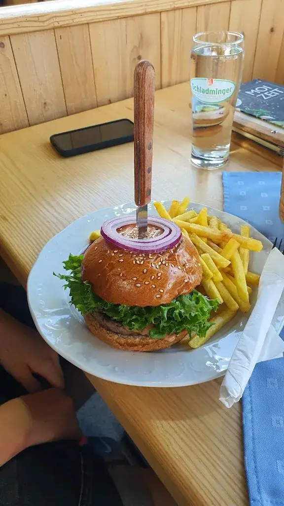 Cristi D_Tomiziel_Haus im Ennstal_avis