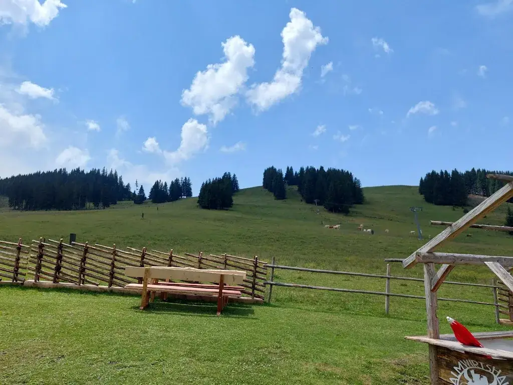 Harald Koch_Almwirtshaus HOLDAHÜTT`N_Hohenau an der Raab_review