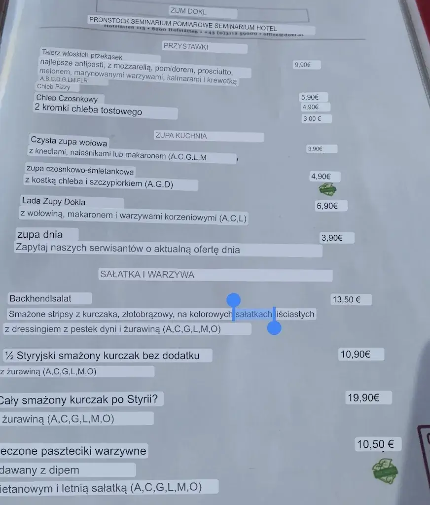 Menu_Rasthaus DOKL_Hofstätten an der Raab_image_3