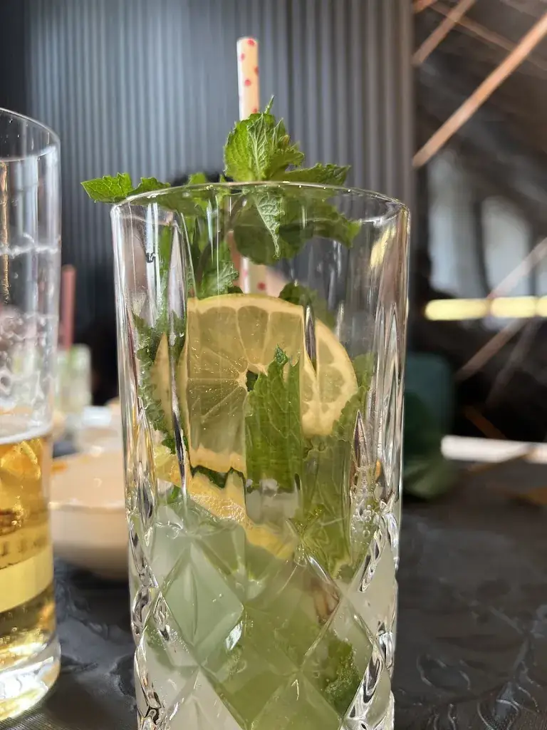 Y. C. Ho_JR Indian Fusion Cuisine_Hetzendorf_review