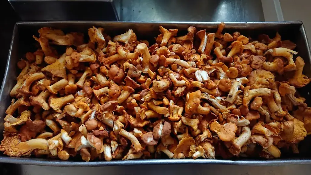 Menu_Gasthof Lendl_Hönigsberg_immagine_3