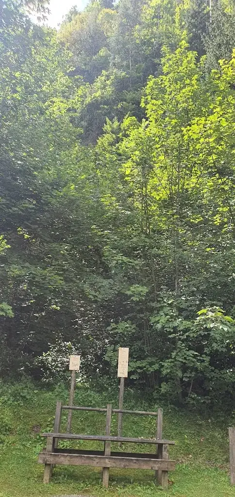 Gernot Wallner_Auwegstüberl_Hönigsberg_review