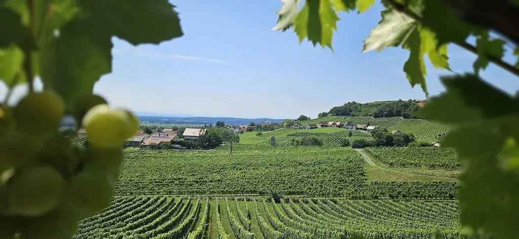 B K (BravoKilo)_Gasthof Palz_Klöch_avis