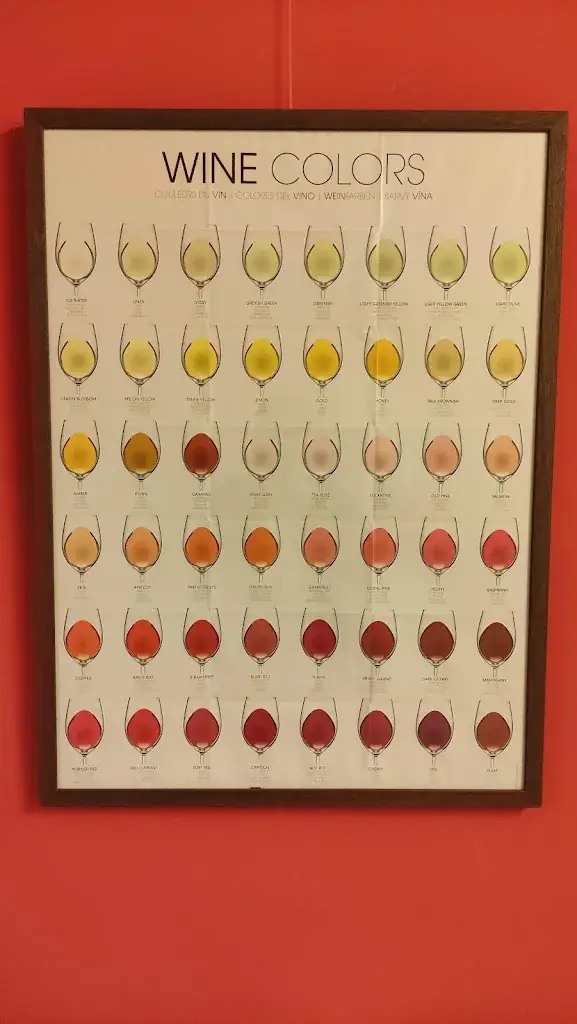 Menu_Schlosstaverne_Kaindorf an der Sulm_immagine_1