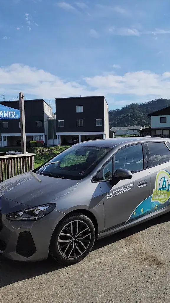 Saeed Heidari_Pizzeria Kraubath_Kraubath an der Mur_review