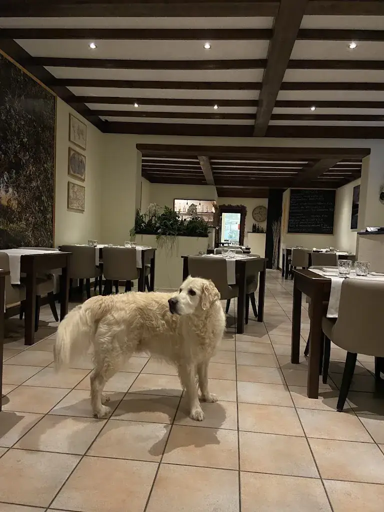 Anthony Raymond_Cinque 5 Ristorante Pizzeria_Kapellen_review