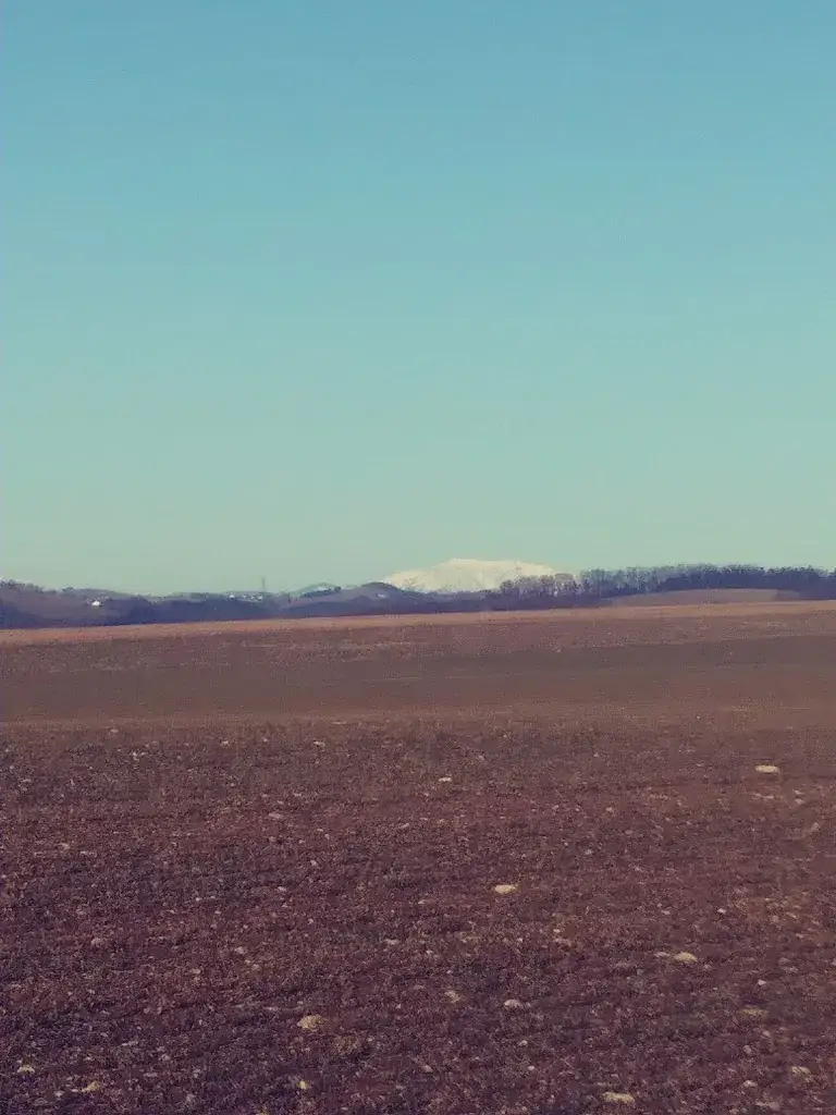 Cafe & Rasthaus Ebner ristorante a Sieggraben