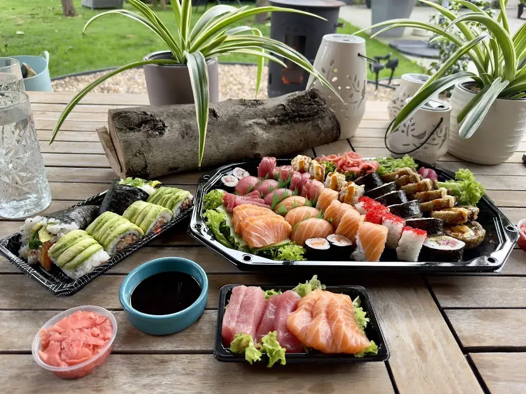 Mike Van Leemputten_Sushispot_Kapellen_avis